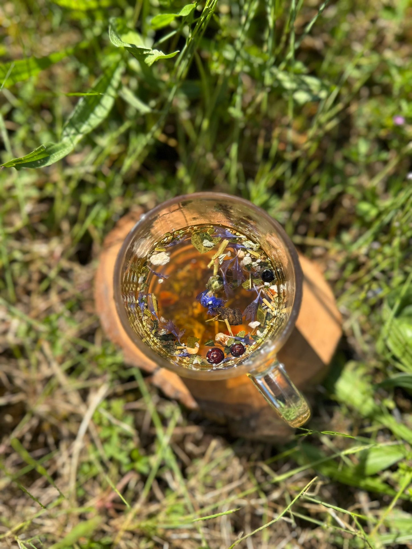 Herbal tea The Garden of the Immortals - Longevity & aching body